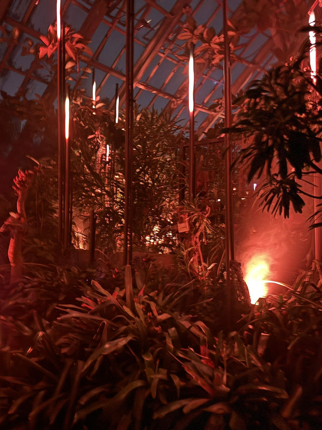 【京都】幻想的な光と音に包まれる植物園へ