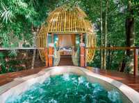 ‘Lan Na Wild’ ..สวรรค์กลางป่าใหญ่บนยอดดอย