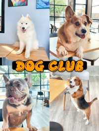 คาเฟ่น้องหมา พัทยา ฟินมากกก! 🐶