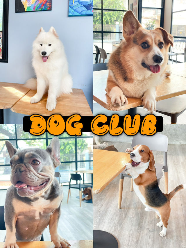 คาเฟ่น้องหมา พัทยา ฟินมากกก! 🐶