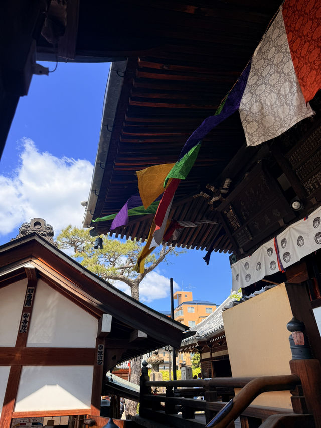 大阪｜到葛井寺看紫藤白藤 1300年11面千手觀音神像近距離參拜