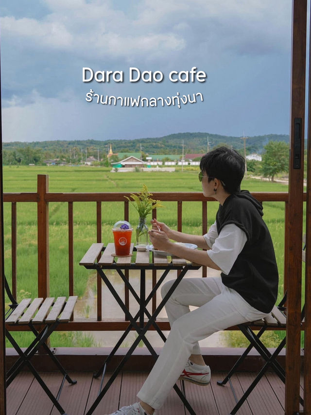 ร้านกาแฟกลางทุ่งนา ดาราดาว เชียงใหม่