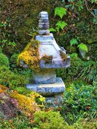 Sanzen-in – A Hidden Temple Garden in the Hills of Ohara