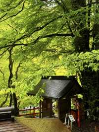 京都｜到貴船神社抽水籤 春有綠意秋楓紅 感受京都絕美詩意