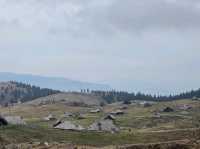 Velika planina