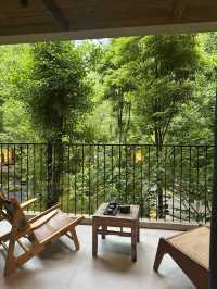 Where to Stay for Peace and Quiet Near Qingcheng Mountain