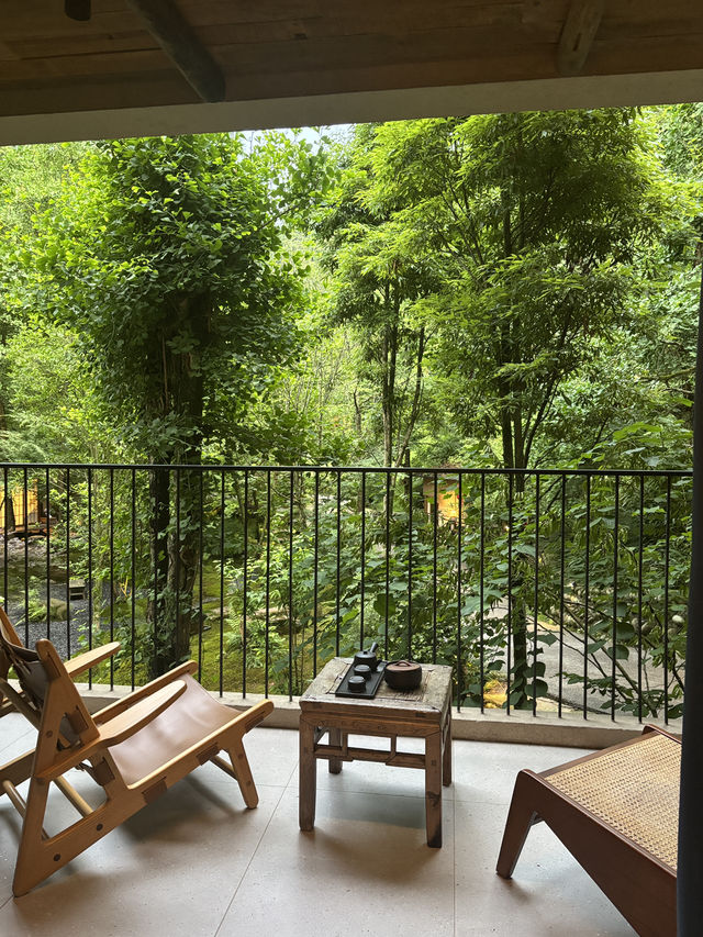 Where to Stay for Peace and Quiet Near Qingcheng Mountain