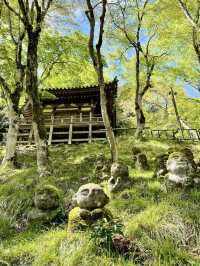 A Peaceful Day Exploring Oku-Saga, Kyoto 🌿