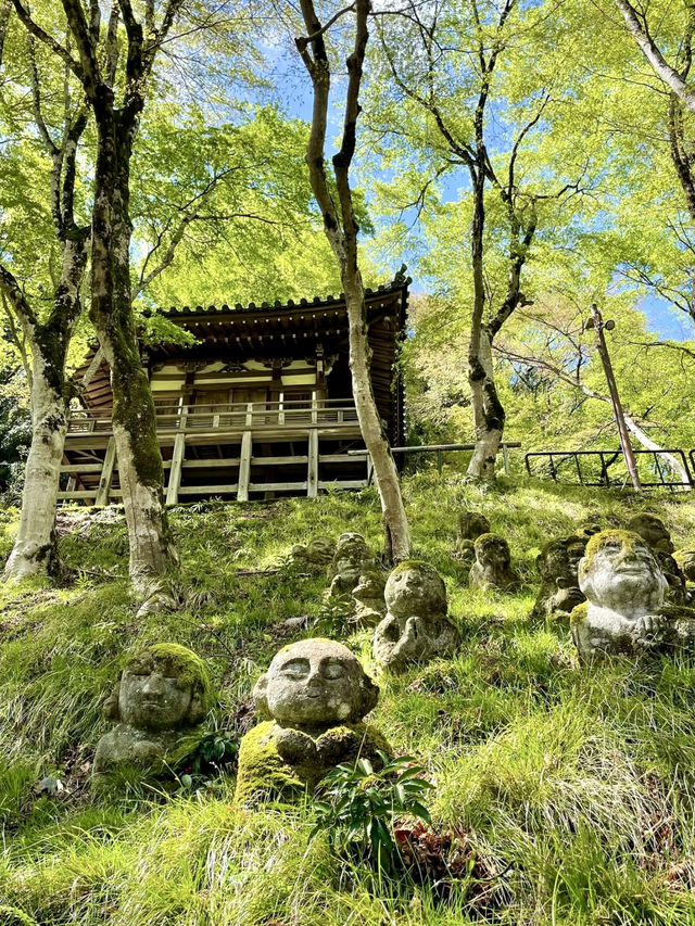 A Peaceful Day Exploring Oku-Saga, Kyoto 🌿
