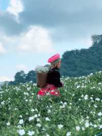 Whispers in White – A Stroll Through Ying Yong Flower Garden