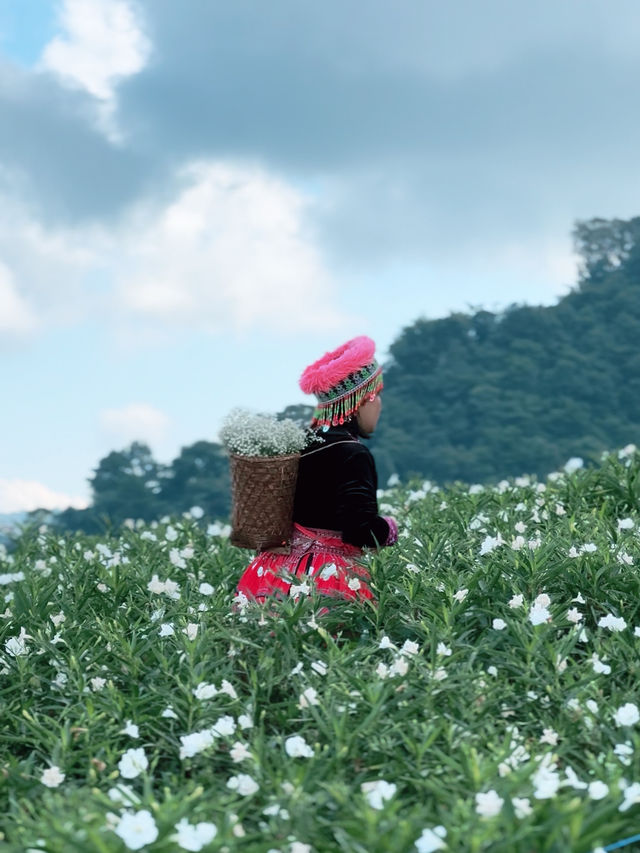 Whispers in White – A Stroll Through Ying Yong Flower Garden