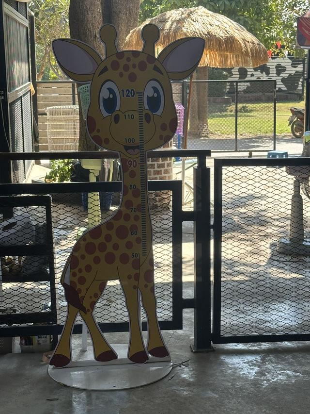 #曼谷 #北碧動物園 # 開心之旅 #帶住肥寶去旅行