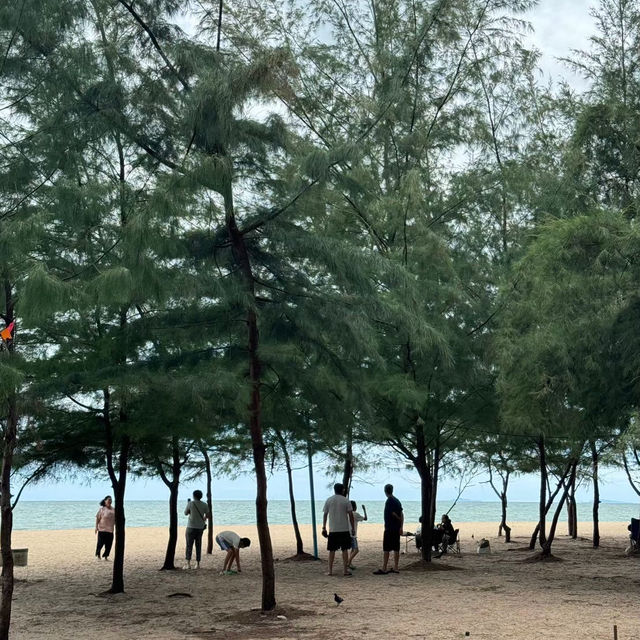 หาดแหลมเจริญ