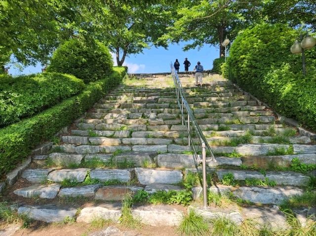 Yuldong Park Has It All