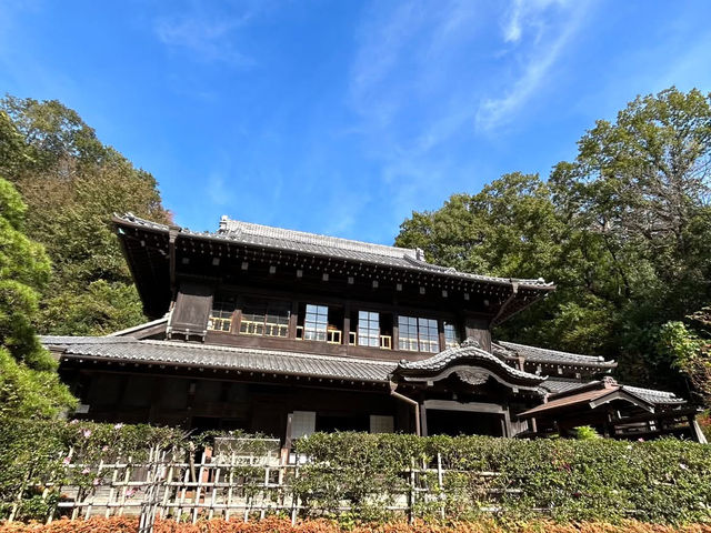 川崎🇯🇵 【期間限定營業！古民宅咖啡廳
