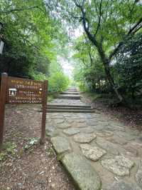 Easy Wandering on Dalma Mountain’s Ancient Road
