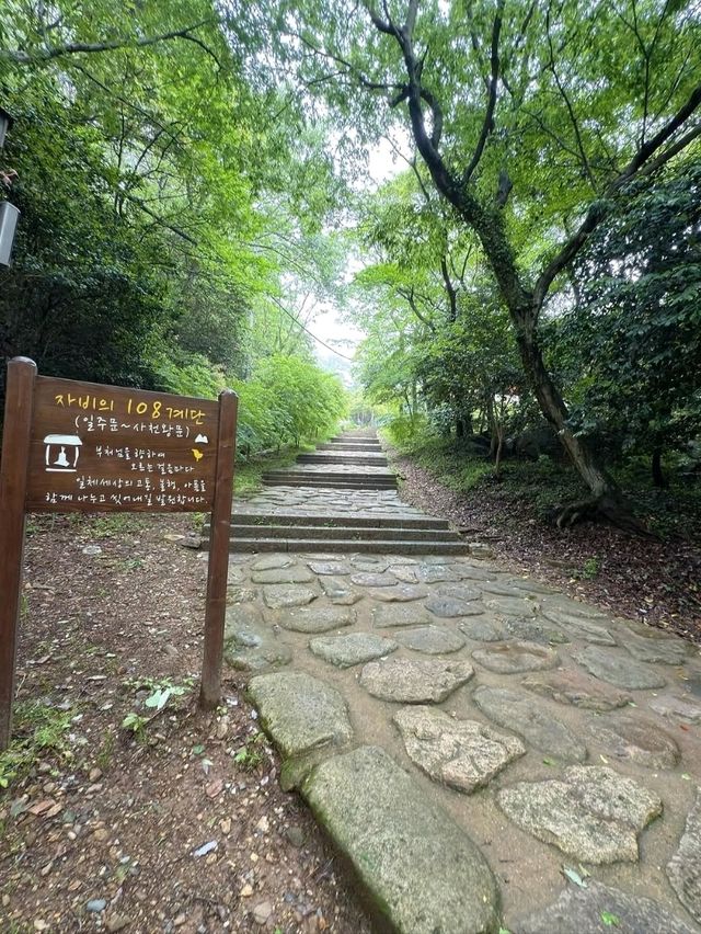 Easy Wandering on Dalma Mountain’s Ancient Road