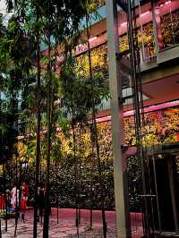 Jewel Changi Airport – Where Nature, Retail & Travel Converge