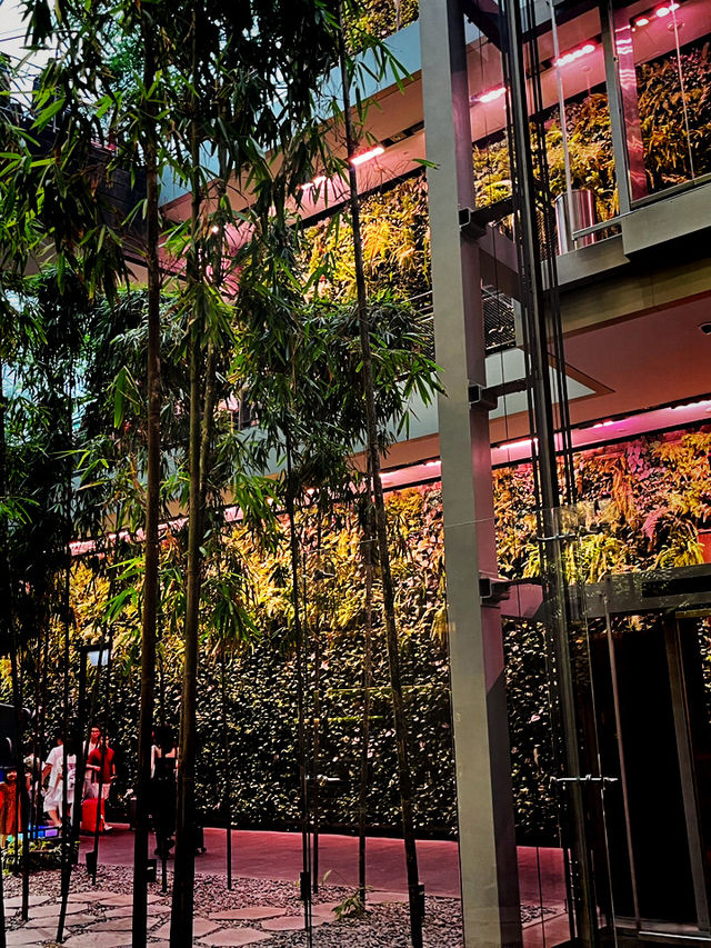 Jewel Changi Airport – Where Nature, Retail & Travel Converge