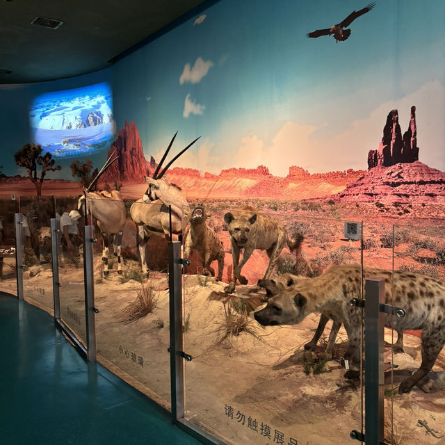 深圳博物館之野生動物展