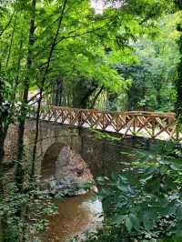 Tbilisi Botanical Garden – Nature’s Secret in the Heart of the City