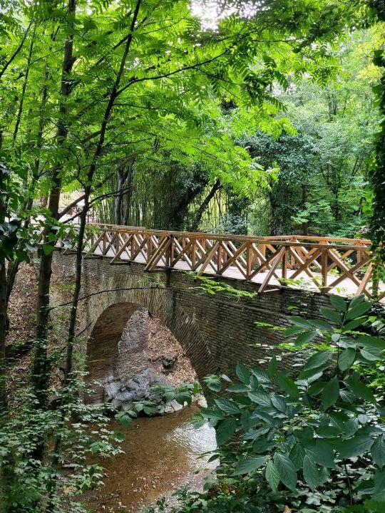 Tbilisi Botanical Garden – Nature’s Secret in the Heart of the City