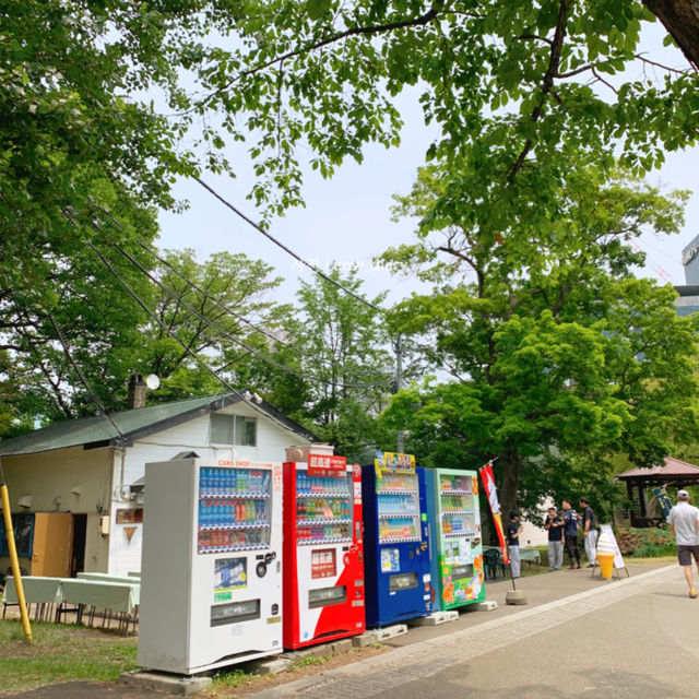 삿포로 여름, 푸르른 나카지마공원🌳💛