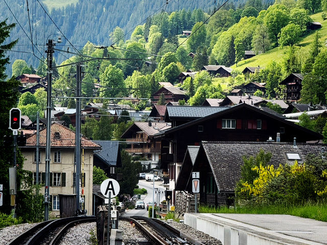 Grindelwald: Alpine Adventure in the Shadow of the Eiger
