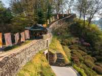 Castle Walls & Chill Walks