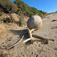 Moeraki Boulders