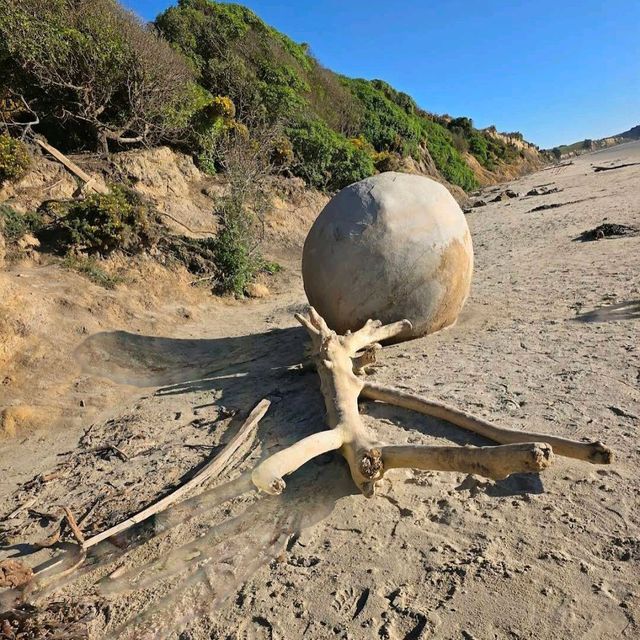 Moeraki Boulders