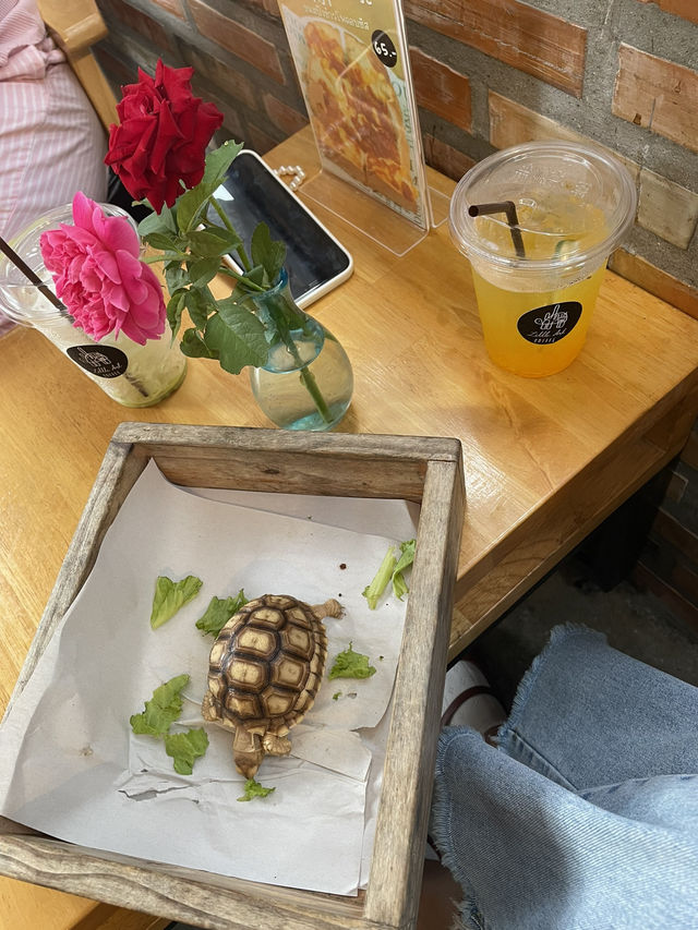 Little Art Coffee
