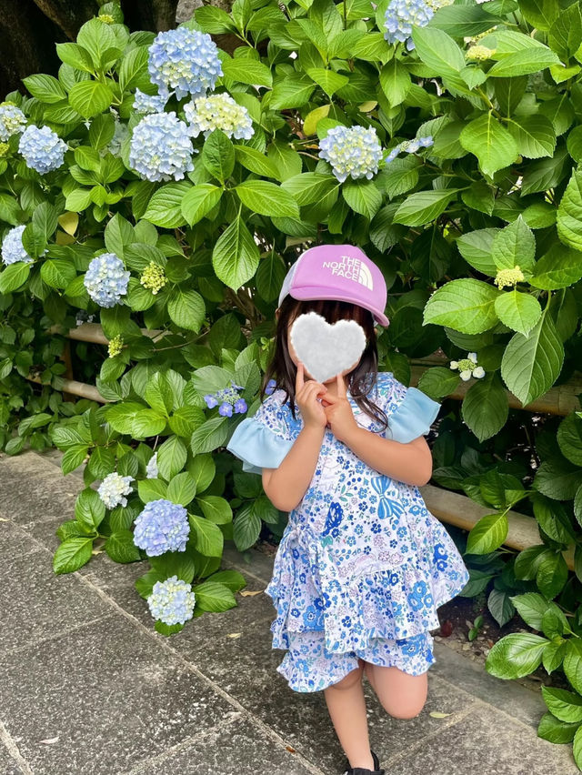 愛知]まるで京都のような竹林と紫陽花のコラボレーション🩵✨