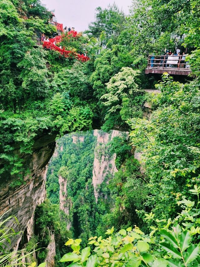 🌉 The First Bridge Under Heaven: Nature’s Hidden Marvel