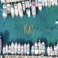 Kaş: The Jellyfish Sea Truly Exists! 🇹🇷🌊