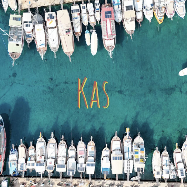 Kaş: The Jellyfish Sea Truly Exists! 🇹🇷🌊