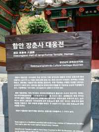 장춘사에서 만나는 조용한 힐링의 순간