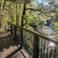 Karamea & Oparara Basin