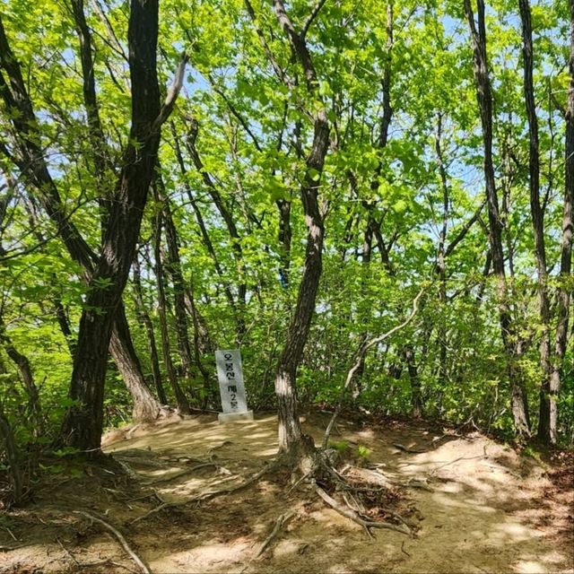 The summit of Mt. Obong