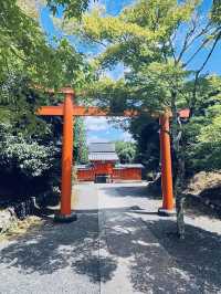 The Daikaku-ji Temple
