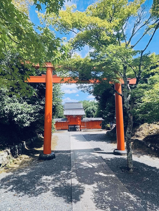 The Daikaku-ji Temple