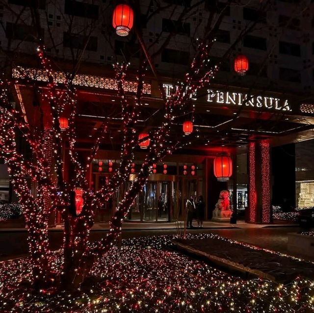 🇨🇳✨ Wangfujing Wonders: Beijing’s Shopping & Street Food Paradise! 🛍️🍢