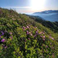 Epic Trails and Serenity