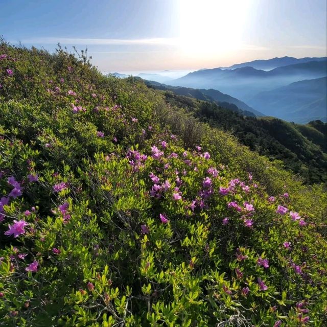 Epic Trails and Serenity