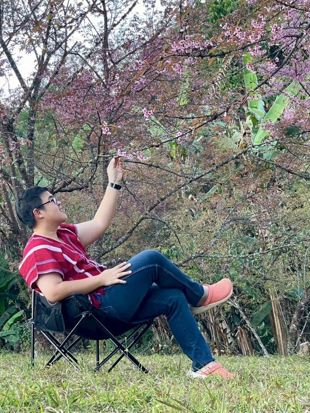 นางพญาเสือโคร่ง ทักที่ แม่อาย