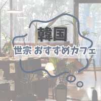 韓国 世宗 おすすめカフェ