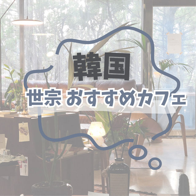 韓国 世宗 おすすめカフェ
