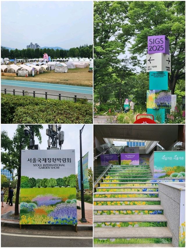 【ソウル🇰🇷ポラメ公園】ソウル国際庭園博覧会🌼
