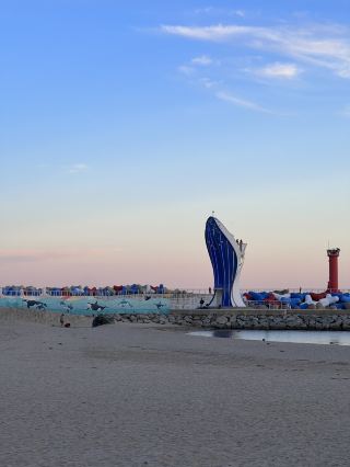 Recommended itinerary: Yeongdeok Metasequoia Road and Goraebul Beach