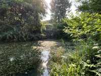 🌿 Huanhuaxi Park – A Calm Escape in the Heart of Chengdu